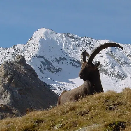 Vvf Val-cenis Haute-maurienne Lanslevillard