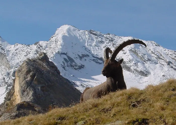 Vvf Val-cenis Haute-maurienne Lanslevillard
